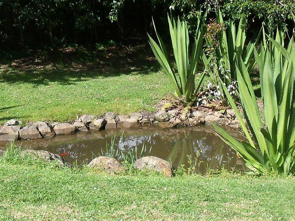 Whangarei Holiday Houses المظهر الخارجي الصورة