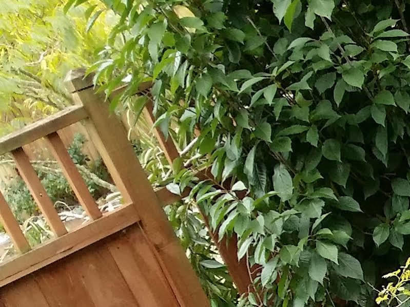 Whangarei Holiday Houses المظهر الخارجي الصورة